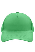Lime-green (ca. Pantone 361C)