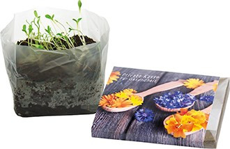 Wachstum im Quadrat Blütengenuss, 1-4 c Digitaldruck inklusive