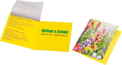 Saatteppich Klappkärtchen, bunte Blumenmischung, 1-4 c Digitaldruck inklusive