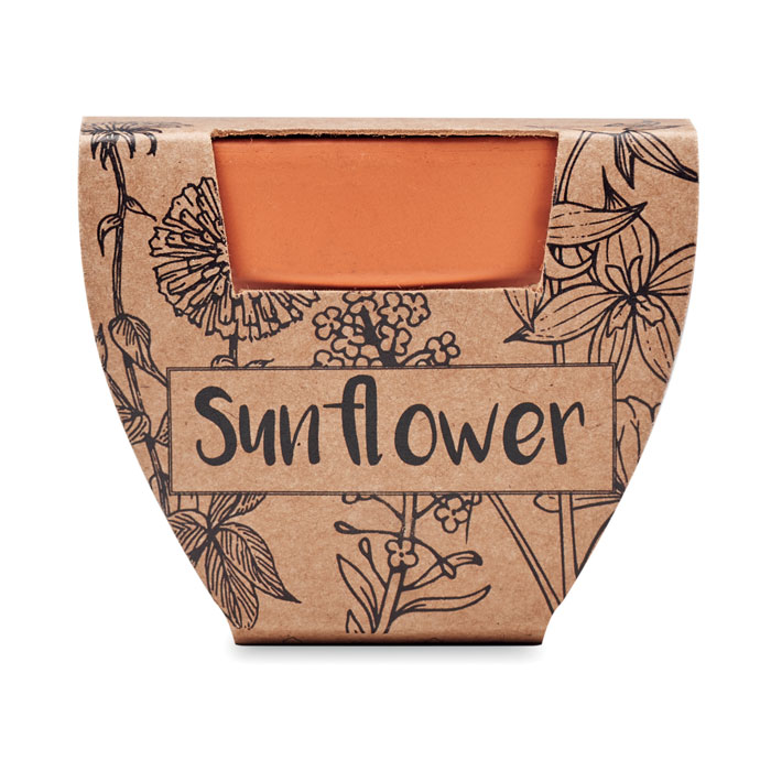 SUNFLOWER - Terracotta-Topf Sonnenblume
