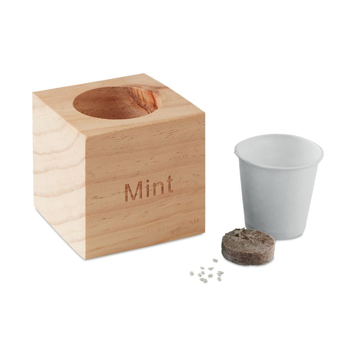 MENTA - Kräuterpflanz-Set "Minze''